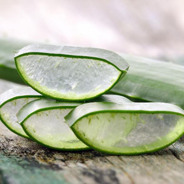 Aufgeschnittene Aloe-Vera-Blätter mit sichtbarem, durchsichtigem Gel – Quelle von Aloe Barbadensis Leaf Juice.