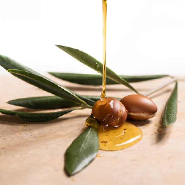 Arganöl, das über braune Arganfrüchte mit grünen Blättern gegossen wird – Quelle von Argania Spinosa Kernel Oil.