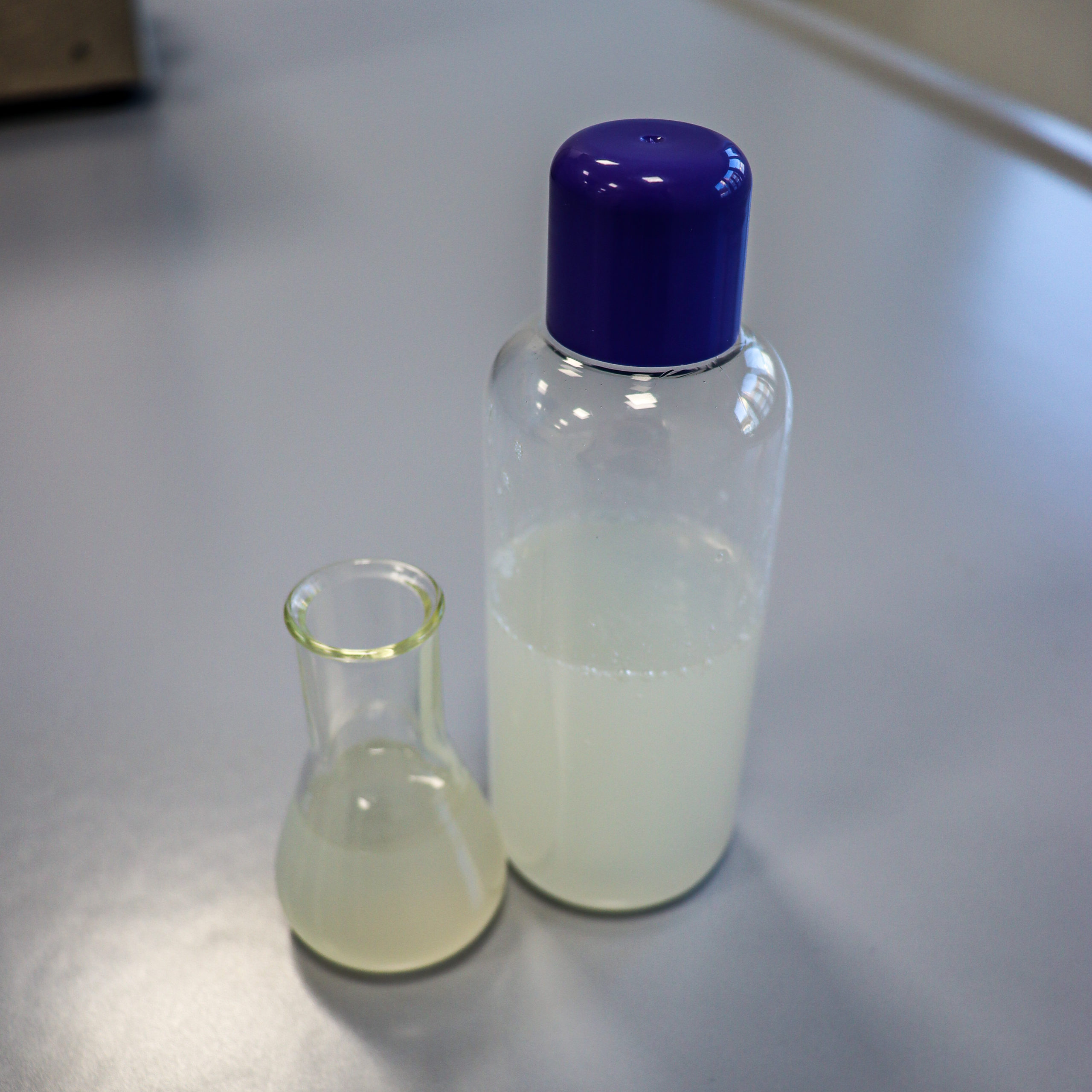Zwei Laborgläser mit milchiger Wirkstofflösung auf einem Labortisch – repräsentiert Biosaccharide Gum-1.