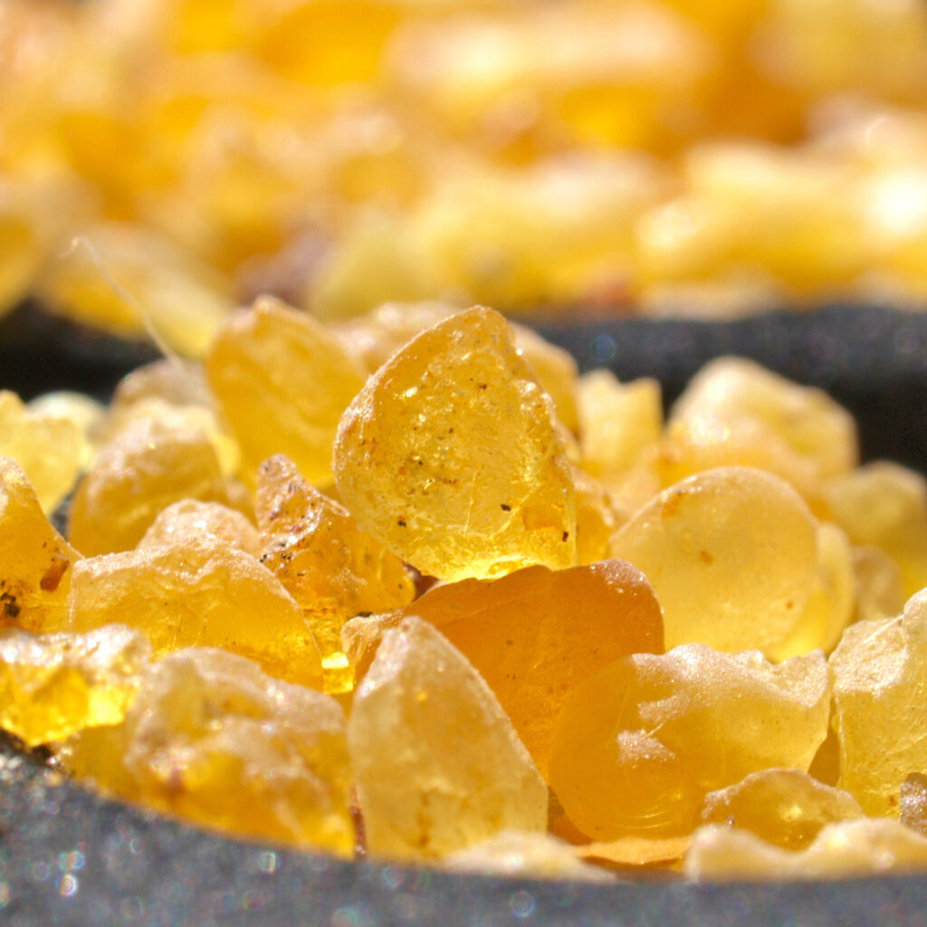 Nahaufnahme von goldgelbem Weihrauchharz – pflanzliche Quelle von Boswellia Carterii Resin Extract.