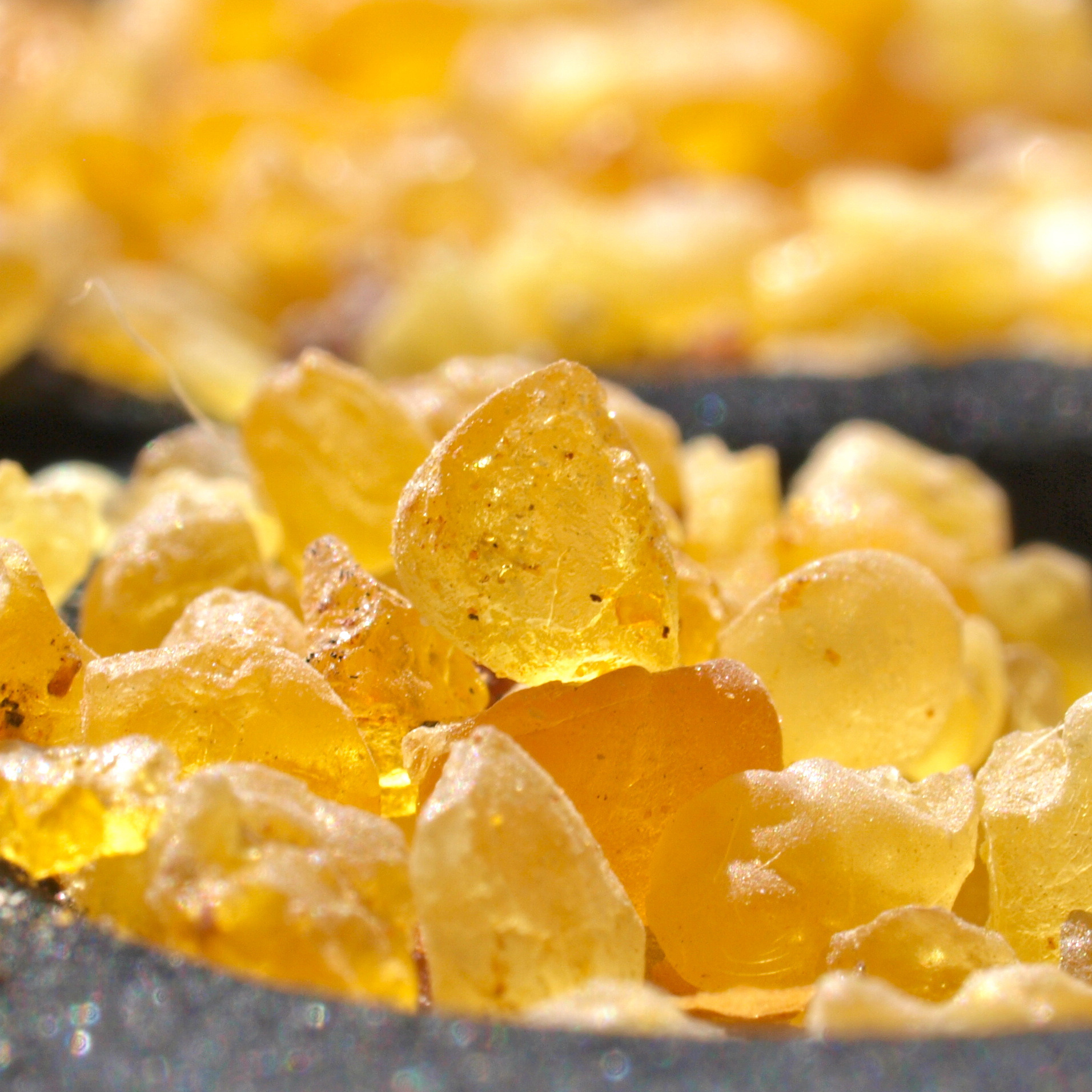 Nahaufnahme von goldgelbem Weihrauchharz – pflanzliche Quelle von Boswellia Carterii Resin Extract.