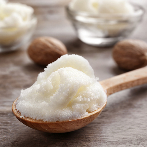 Löffel mit weißer Sheabutter vor ganzen Sheanüssen – Quelle von Butyrospermum Parkii (Shea) Butter.