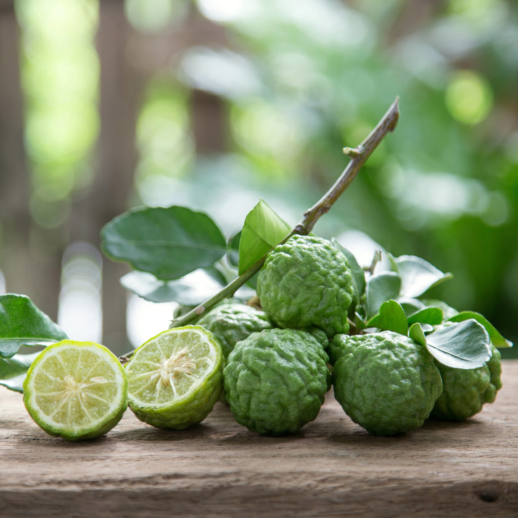 Frische grüne Bergamotten mit Blättern und aufgeschnittener Frucht auf Holz – Quelle von Citrus Aurantium Bergamia Fruit Oil.