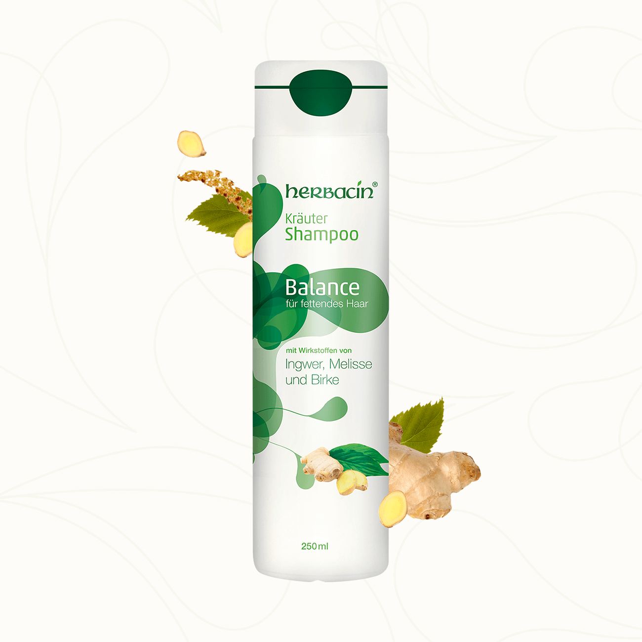 Herbacin Kräuter Shampoo Balance – ausgleichendes Shampoo mit Ingwer, Melisse und Birke für fettendes Haar, 250 ml.