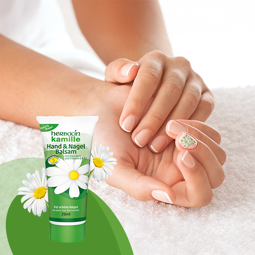 Hände mit gepflegten Nägeln mit Herbacin Kamille Handcreme ein, im Vordergrund Verpackung mit Kamillenblüten abgebildet